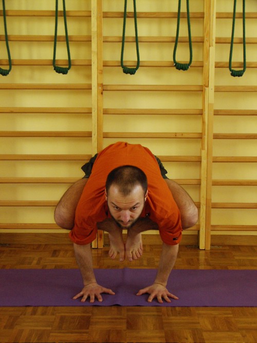 bakasana.jpg
