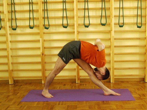 parsvottanasana.jpg