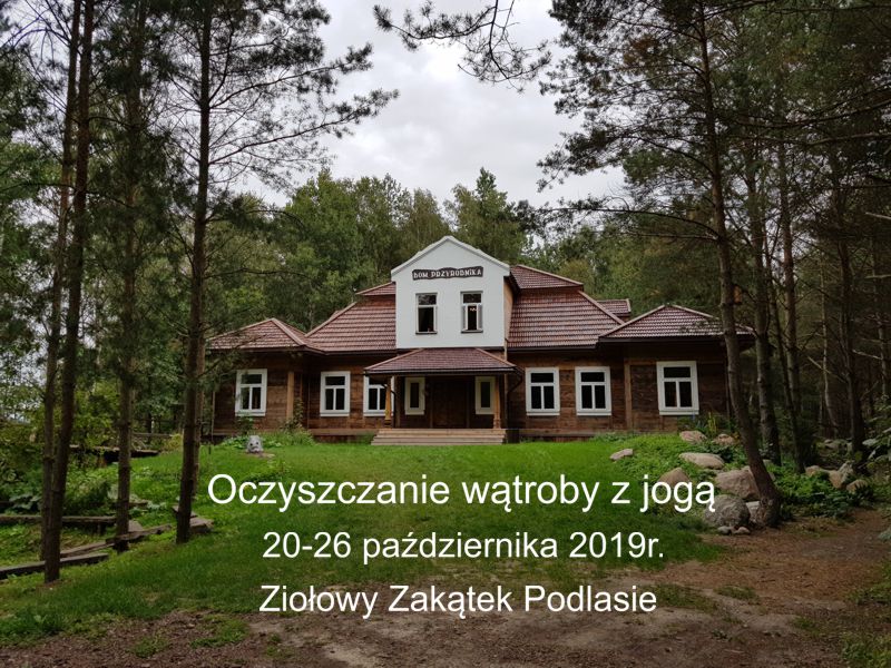 oczyszczanie wątroby z jogą 2019