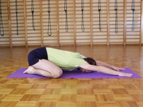 adhomukhavirasana2