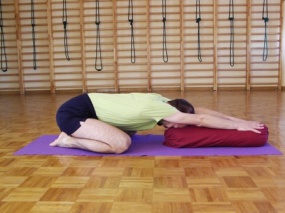 adhomukhavirasana4