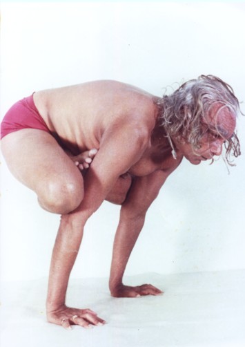 Iyengar pozycja koguta