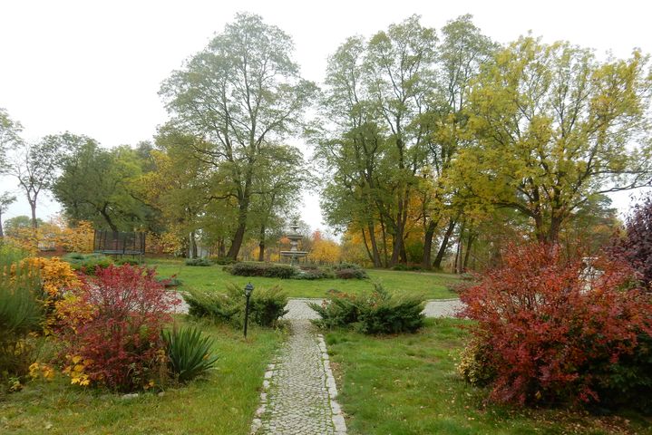 joga dworek janowicki park