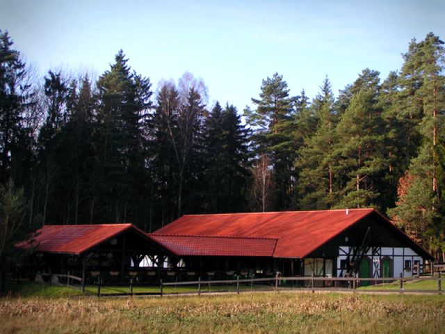 joga pięc debow karczma