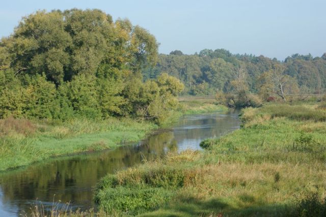 joga pięc debow rzeka